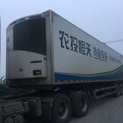 وحدة تبريد ثلاجة ثيرمو كينغ 0 درجة مئوية SLXI 300 لتبريد الطعام