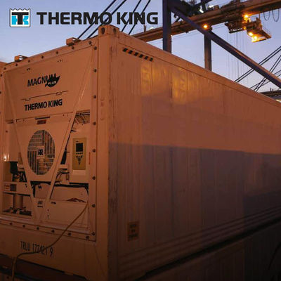 MP4000 THERMO KING وحدة التبريد الحاوية Magnum Plus