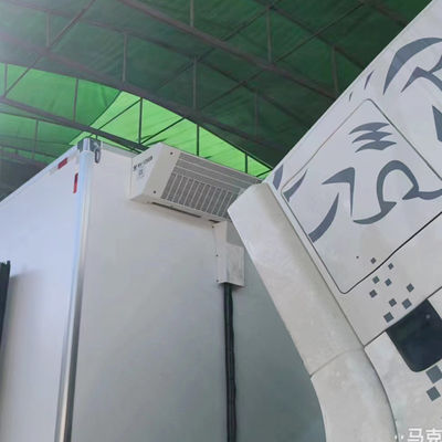 وحدة تبريد THERMO KING RV1200S RV1200 لشاحنة مبردة معدات نظام التبريد للحفاظ على اللحوم والأسماك